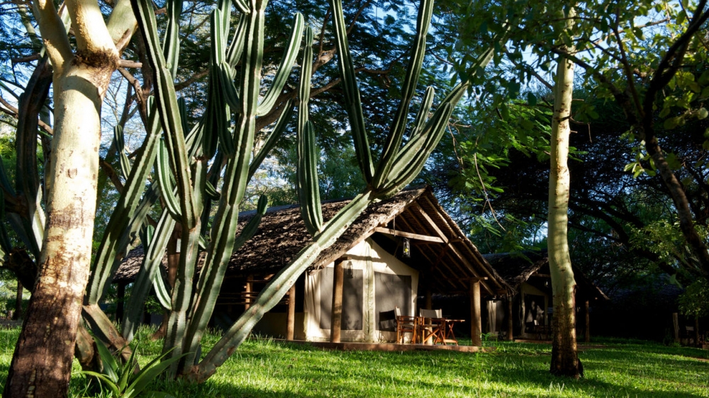 Voyager Ziwani Camp
