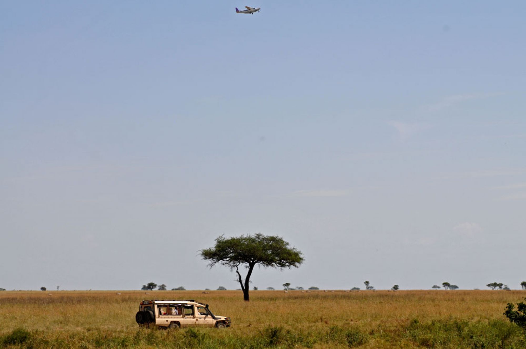 Spirit of Kenya field photograph 48