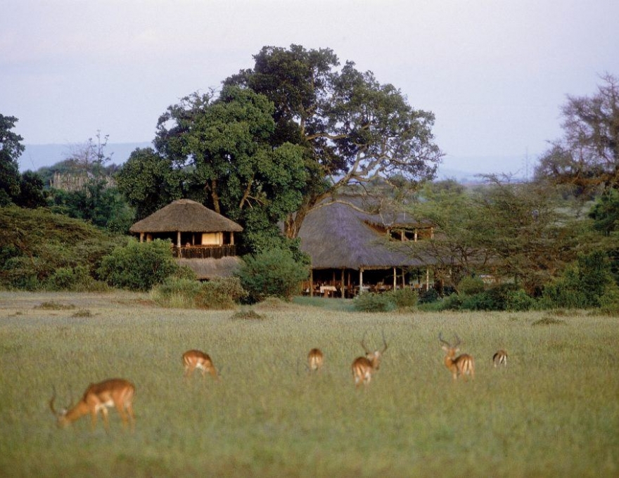 Saruni Basecamp Masai Mara