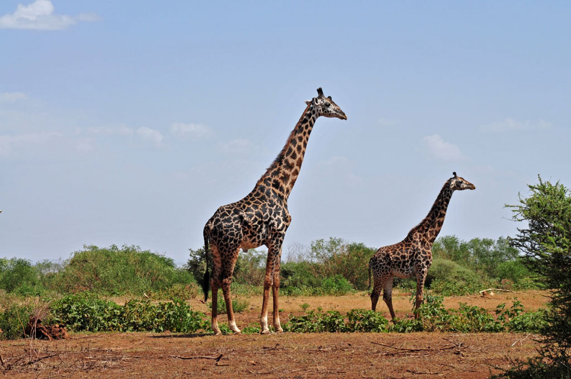 Spirit of Kenya original photograph 6