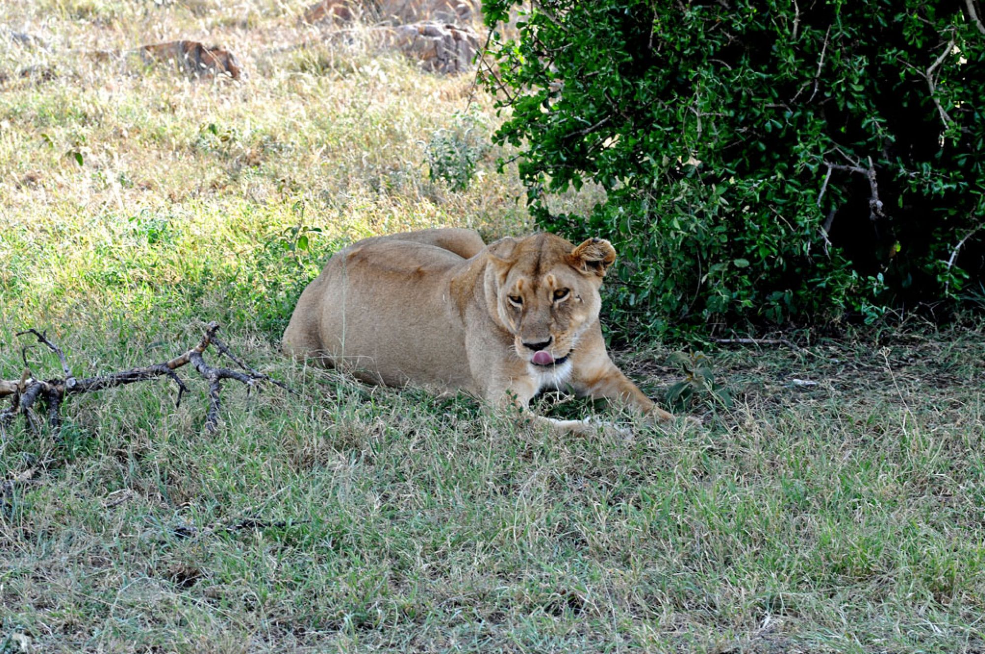 Spirit of Kenya original photograph 3