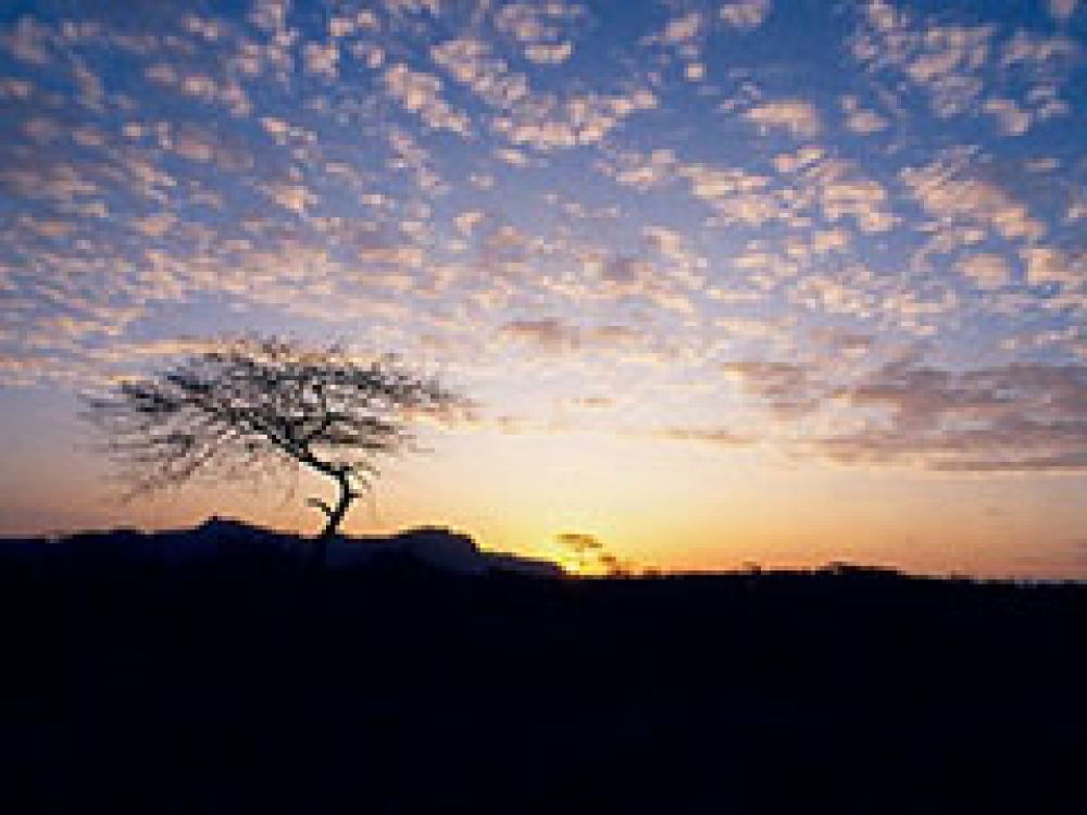 Spirit and Soul of Africa 10