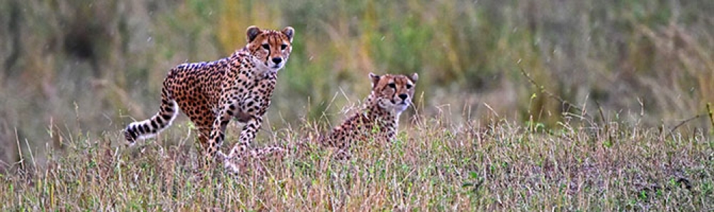 From Kenya to Tanzania with Love 7