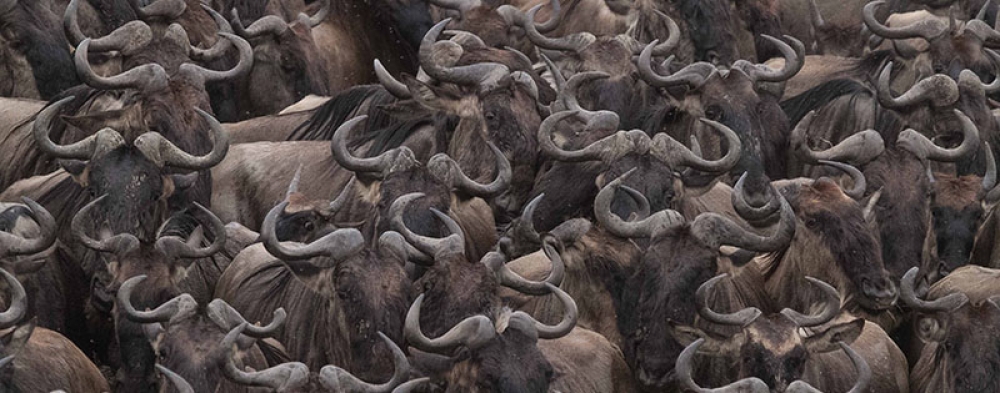 Wonders of Kenya and Tanzania 5