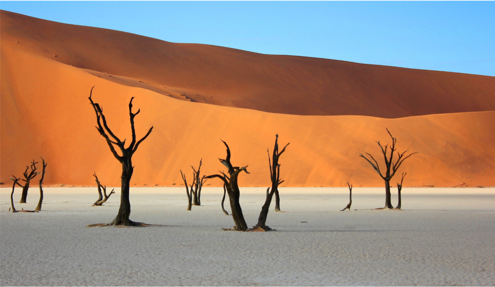 Namibia Highlight Standard Safari 2